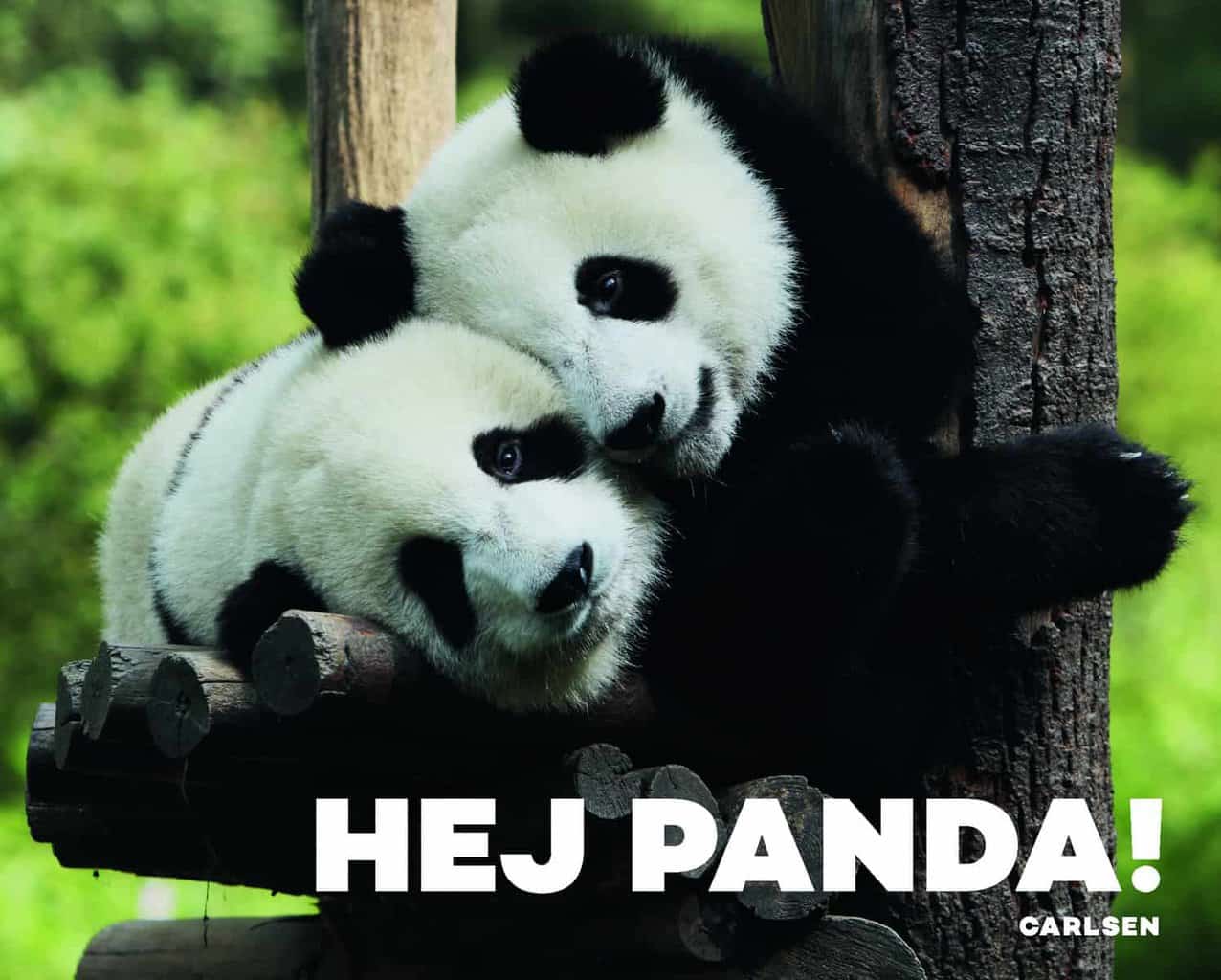 Billede af Hej Panda!