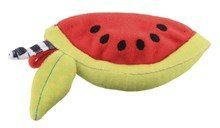 Sassy Watermelon terry teether