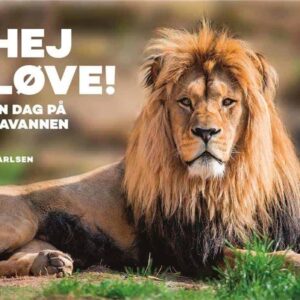 Hej løve! En dag på savannen